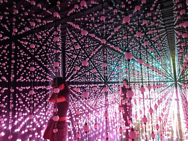 f:id:hoimicle:20251103194929j:image f:id:hoimicle:20251103194929j:image