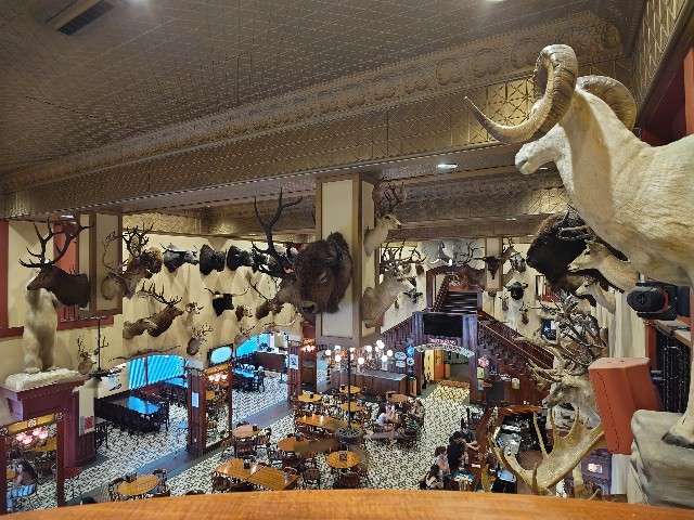 f:id:hoimicle:20251103195853j:image f:id:hoimicle:20251103195853j:image