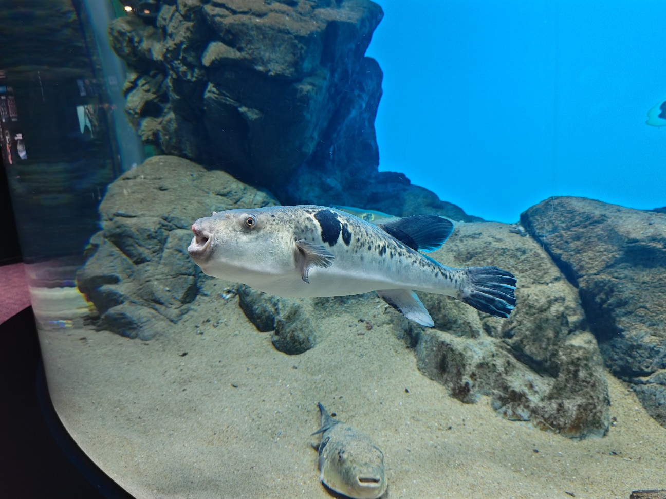 f:id:hoimicle:20251204104726j:image f:id:hoimicle:20251204104726j:image