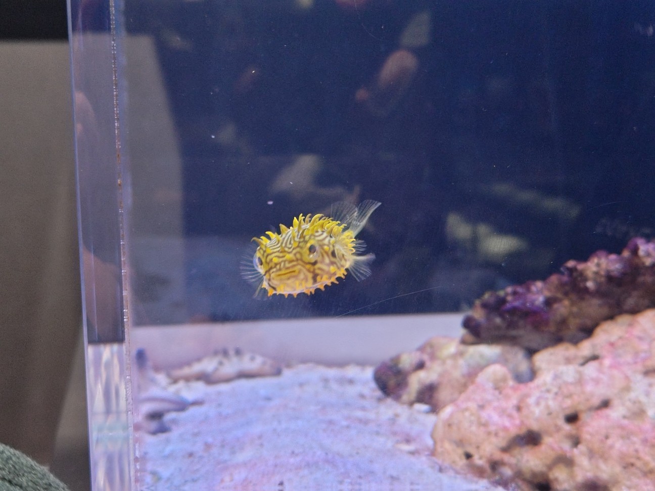 f:id:hoimicle:20251204104830j:image f:id:hoimicle:20251204104830j:image