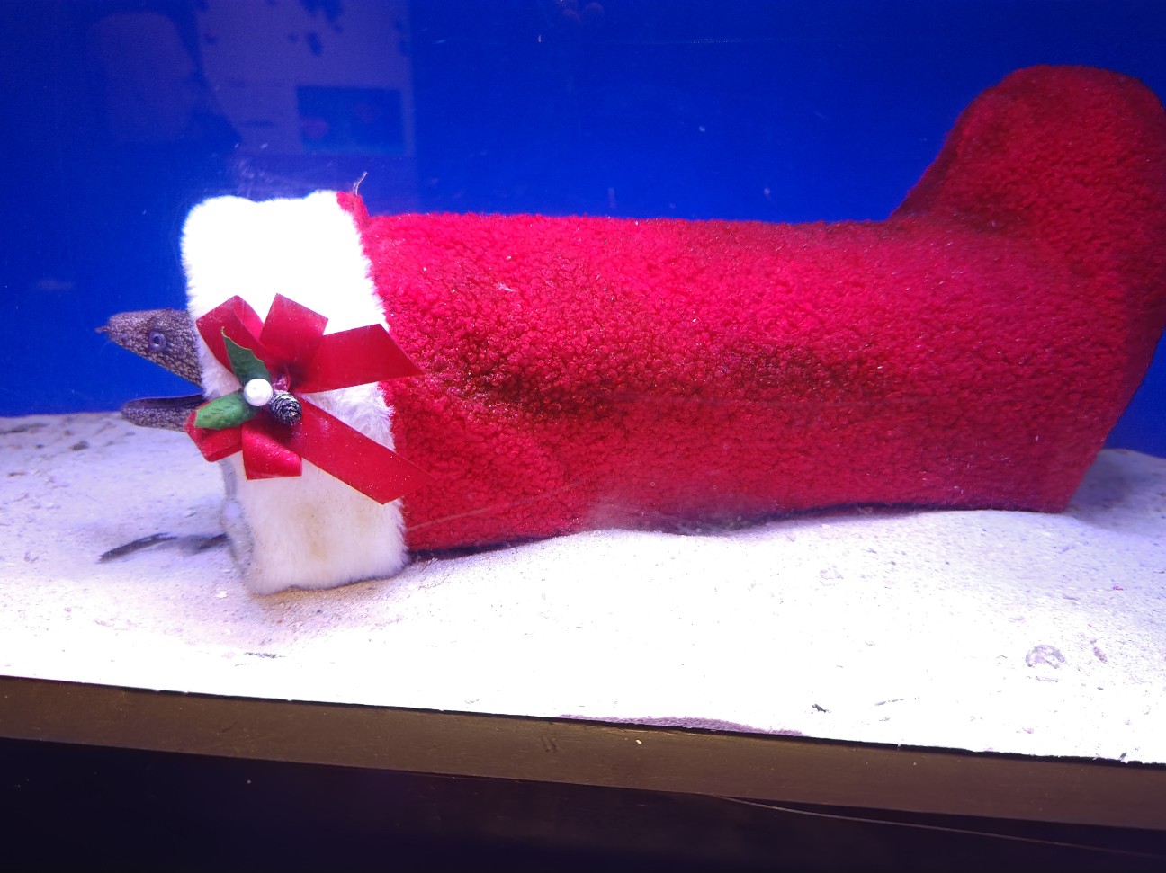 f:id:hoimicle:20251204111029j:image f:id:hoimicle:20251204111029j:image