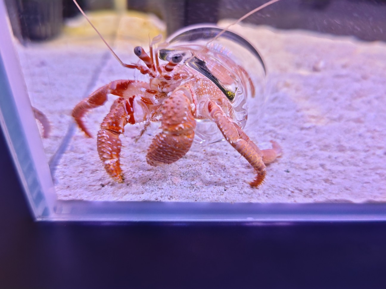 f:id:hoimicle:20251204111057j:image f:id:hoimicle:20251204111057j:image