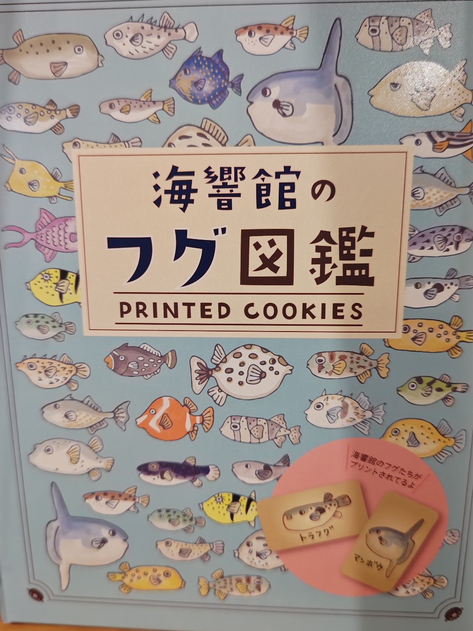 f:id:hoimicle:20251204111410j:image f:id:hoimicle:20251204111410j:image