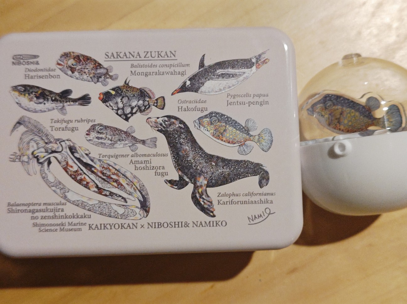 f:id:hoimicle:20251204111424j:image f:id:hoimicle:20251204111424j:image