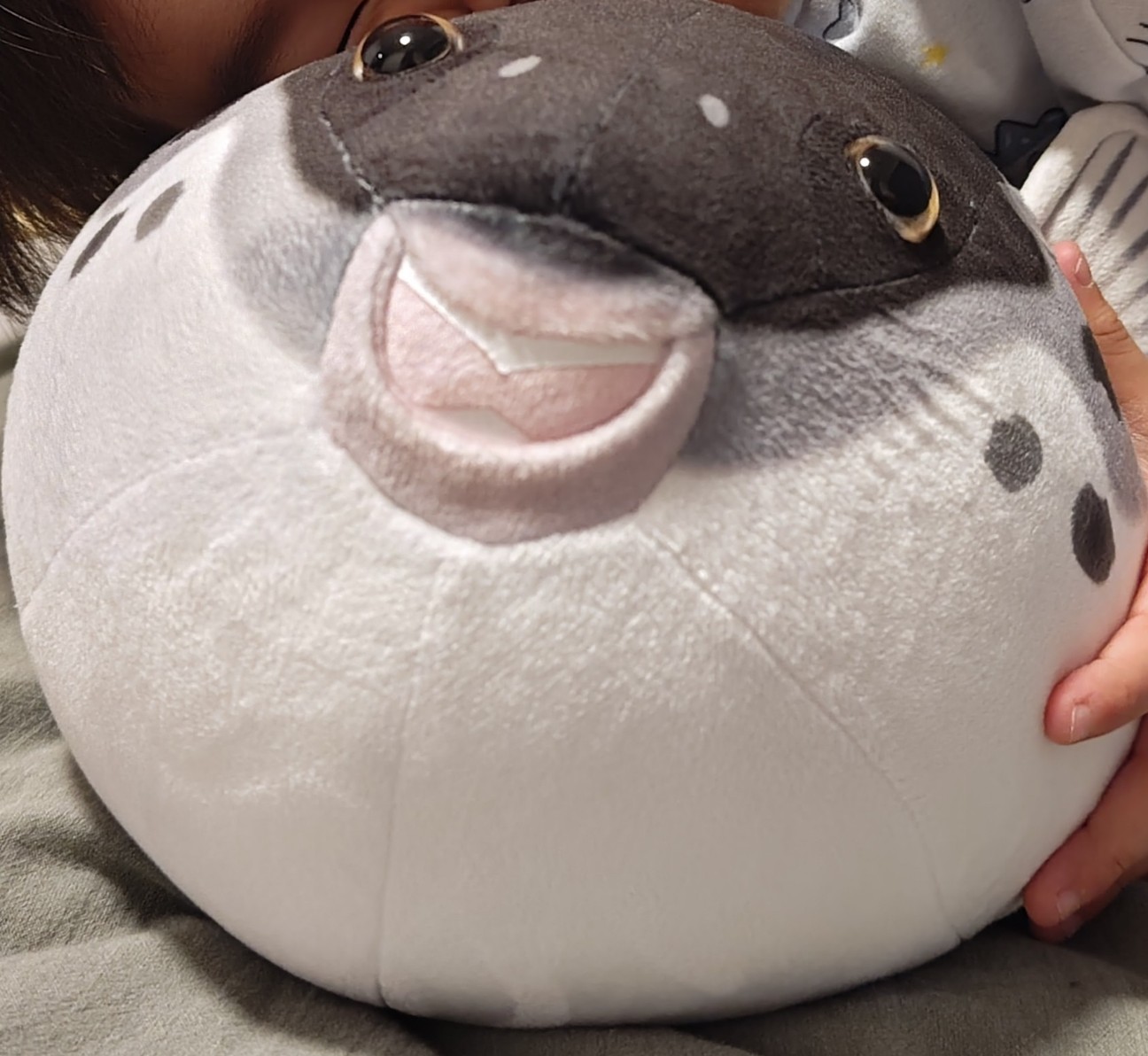 f:id:hoimicle:20251204111706j:image f:id:hoimicle:20251204111706j:image