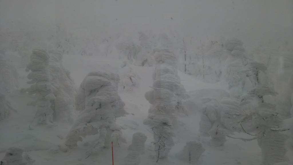 f:id:hoso-11-bishamonten:20190112122907j:plain f:id:hoso-11-bishamonten:20190112122907j:plain