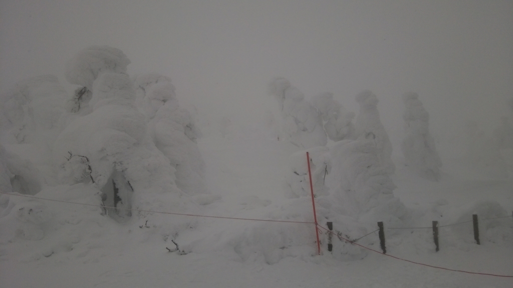 f:id:hoso-11-bishamonten:20190112123622j:plain f:id:hoso-11-bishamonten:20190112123622j:plain