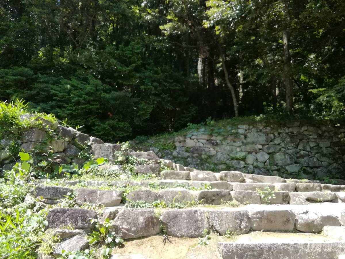 f:id:hoso-11-bishamonten:20190709024053j:plain f:id:hoso-11-bishamonten:20190709024053j:plain