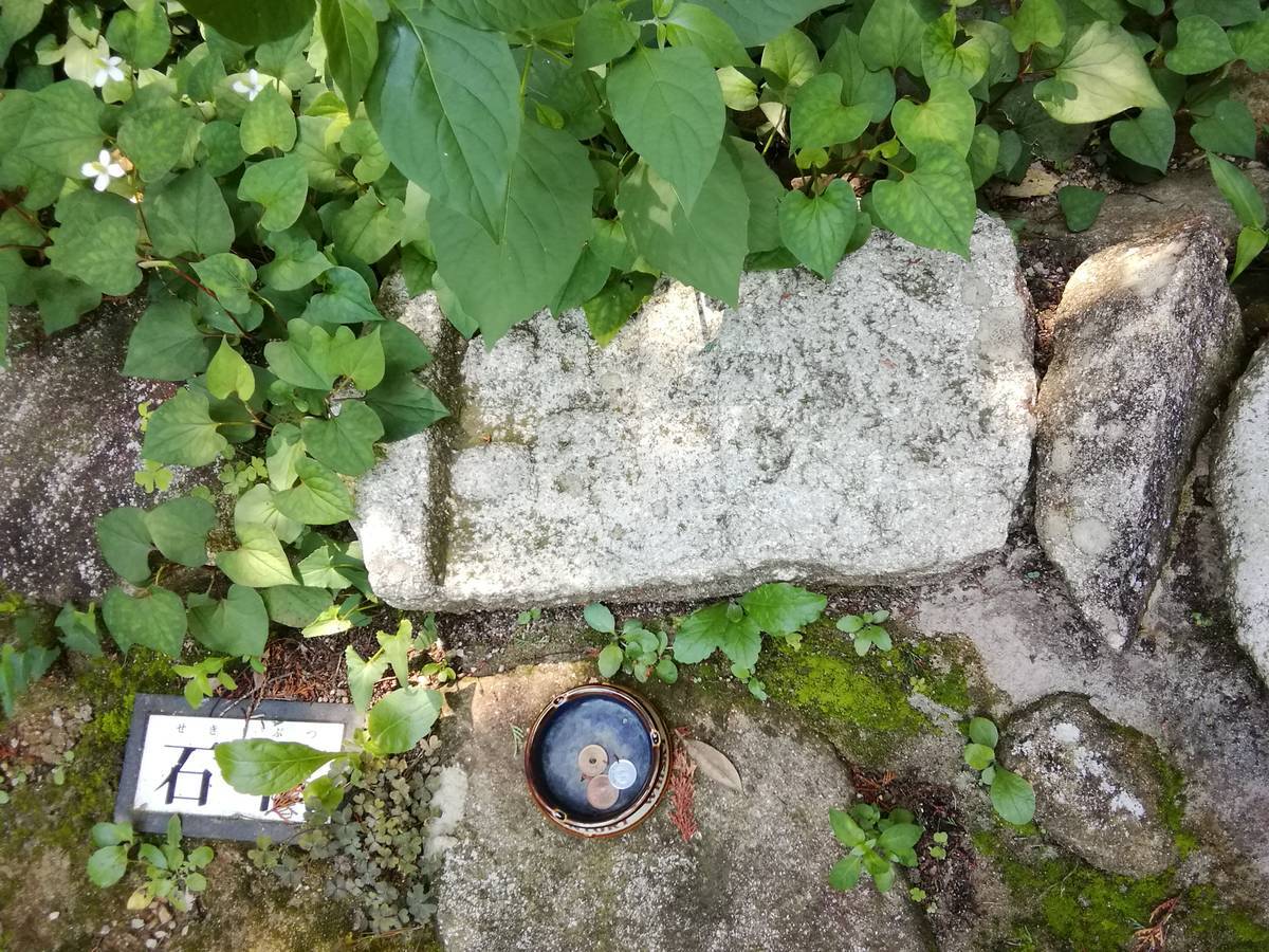 f:id:hoso-11-bishamonten:20190709024231j:plain f:id:hoso-11-bishamonten:20190709024231j:plain