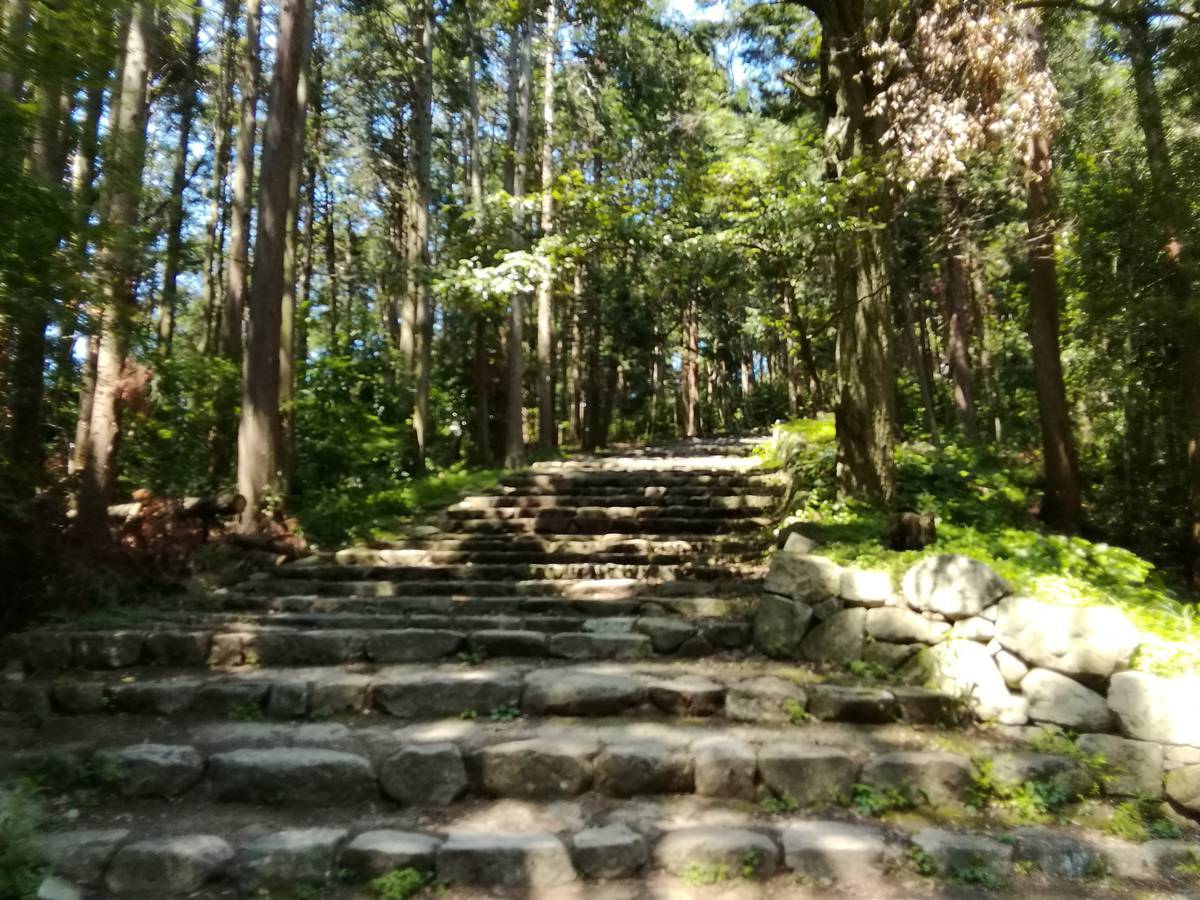 f:id:hoso-11-bishamonten:20190709024658j:plain f:id:hoso-11-bishamonten:20190709024658j:plain