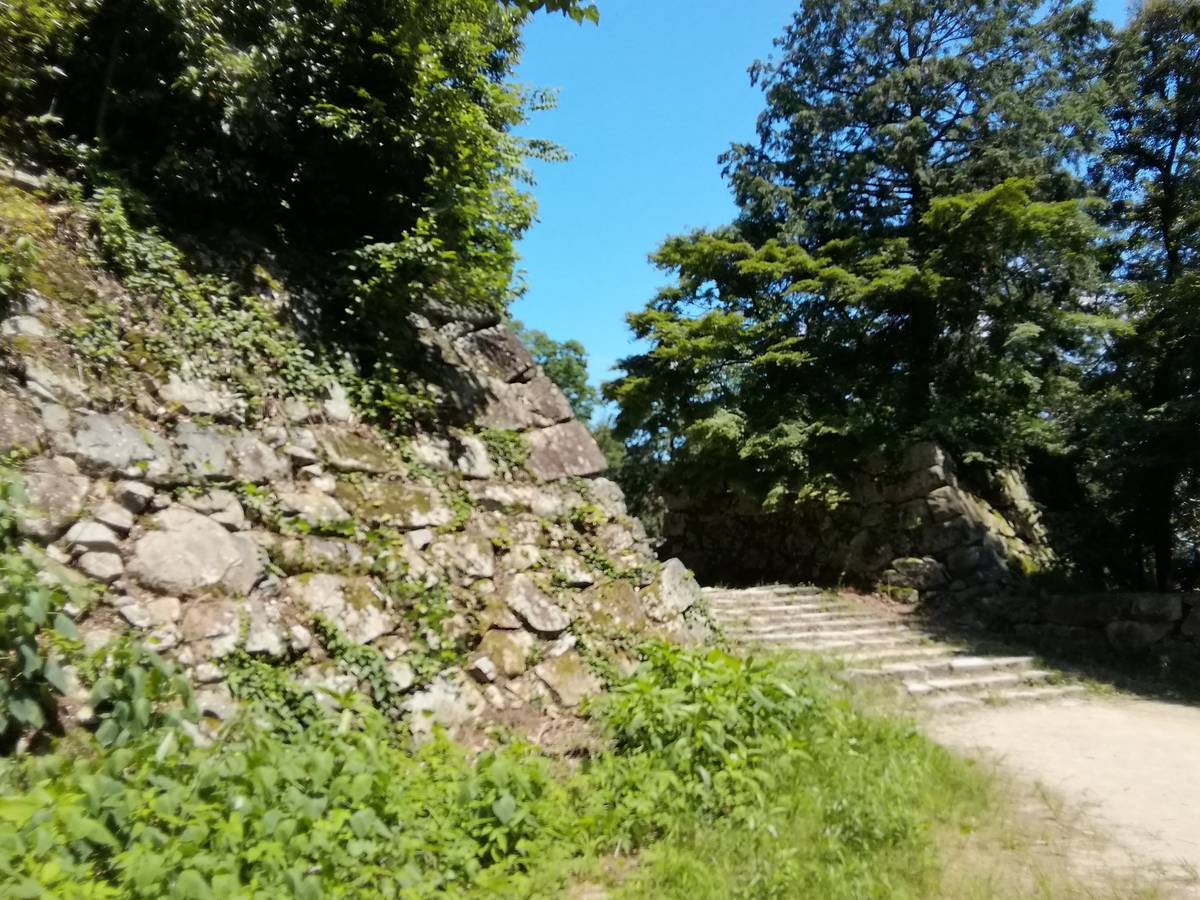 f:id:hoso-11-bishamonten:20190709025513j:plain f:id:hoso-11-bishamonten:20190709025513j:plain