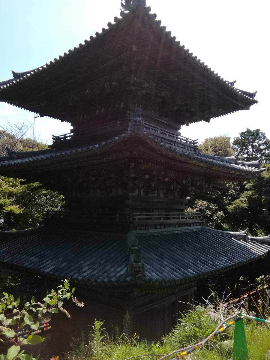 f:id:hoso-11-bishamonten:20190709031916j:plain f:id:hoso-11-bishamonten:20190709031916j:plain