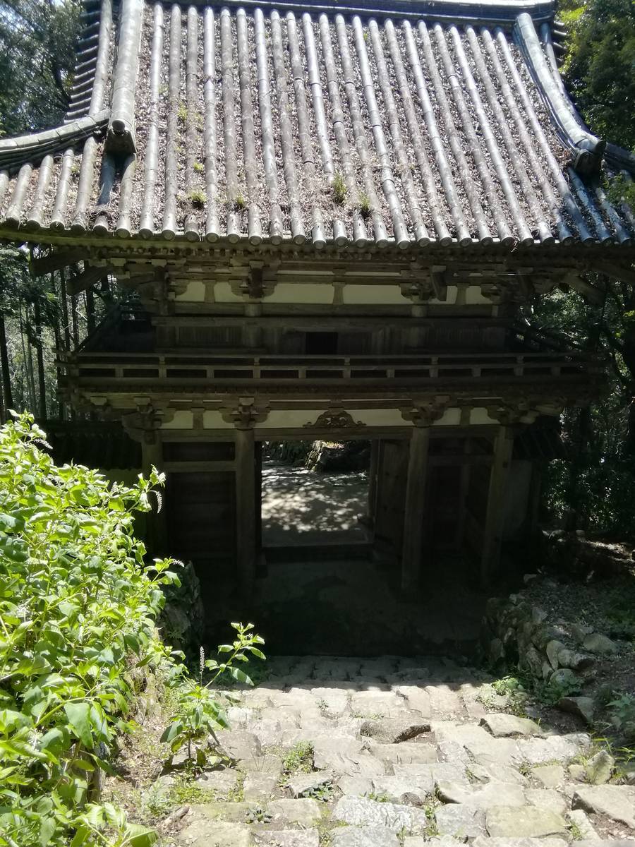 f:id:hoso-11-bishamonten:20190709032438j:plain f:id:hoso-11-bishamonten:20190709032438j:plain