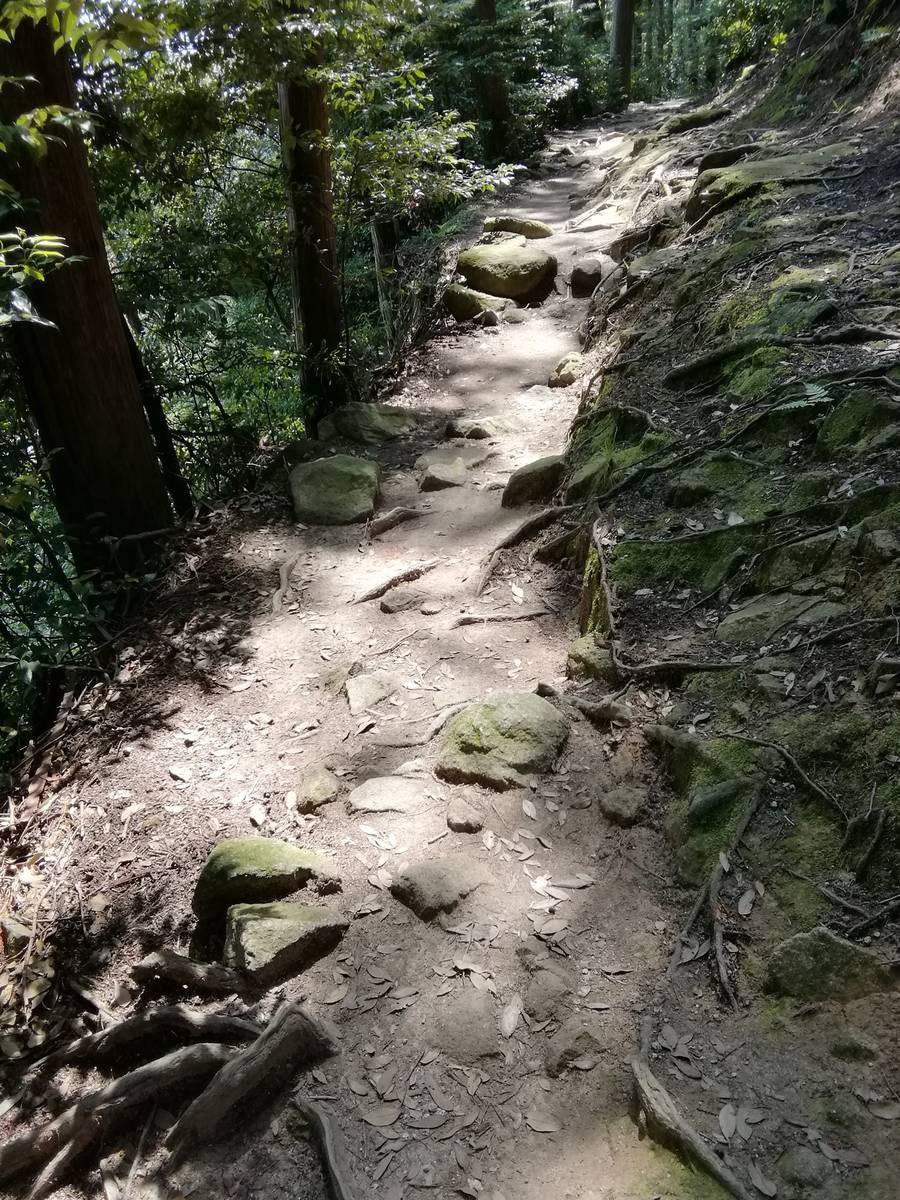 f:id:hoso-11-bishamonten:20190709033134j:plain f:id:hoso-11-bishamonten:20190709033134j:plain