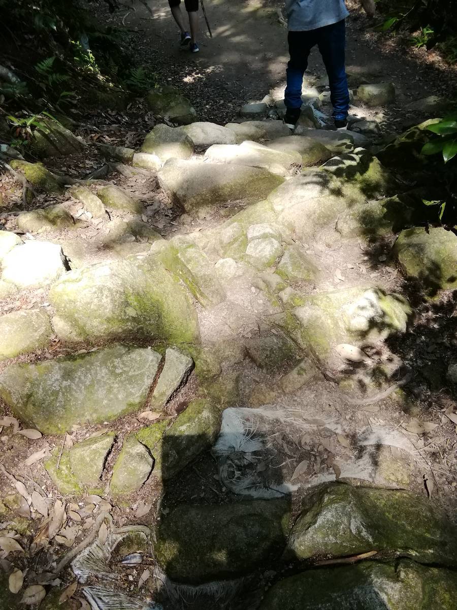 f:id:hoso-11-bishamonten:20190709033343j:plain f:id:hoso-11-bishamonten:20190709033343j:plain