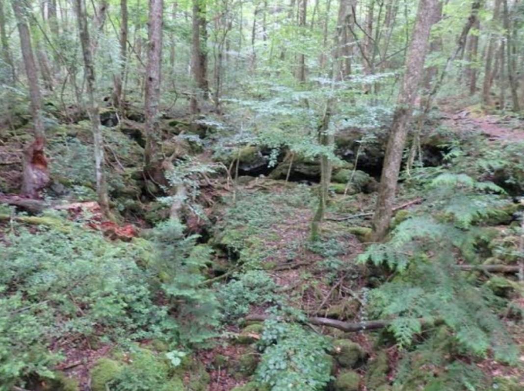 f:id:hoso-11-bishamonten:20200330204444j:plain f:id:hoso-11-bishamonten:20200330204444j:plain