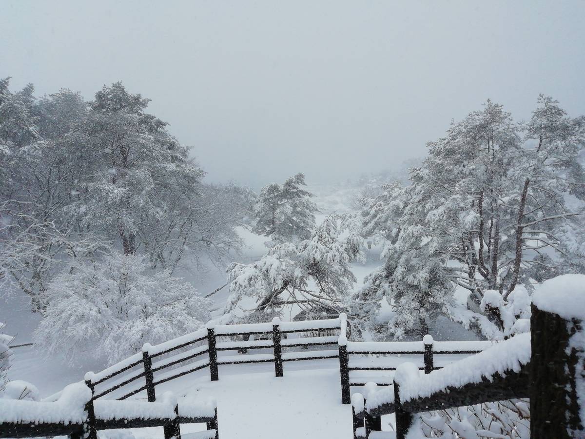 f:id:hoso-11-bishamonten:20200330211951j:plain f:id:hoso-11-bishamonten:20200330211951j:plain