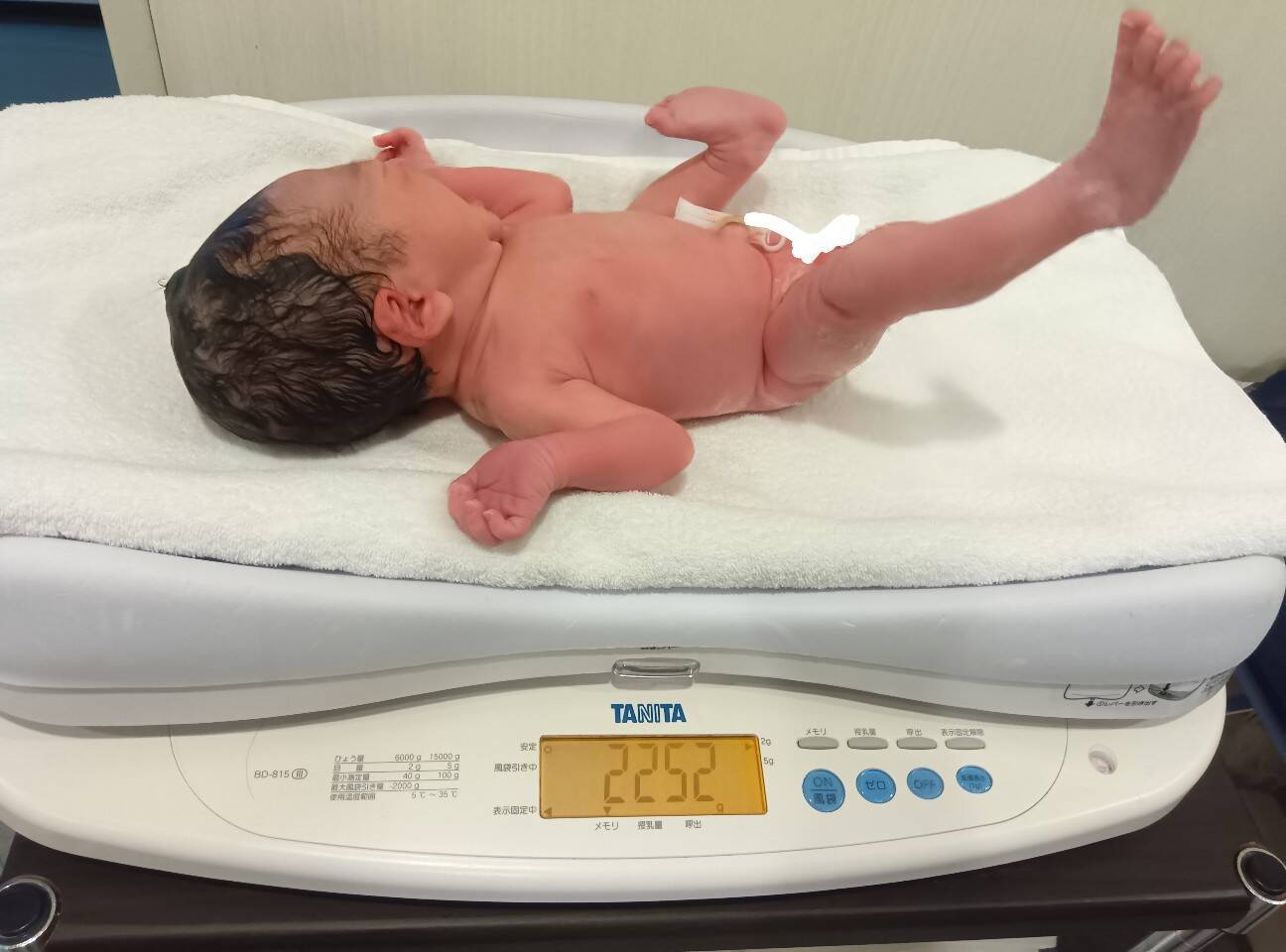 f:id:hoso-11-bishamonten:20251231213025j:image f:id:hoso-11-bishamonten:20251231213025j:image