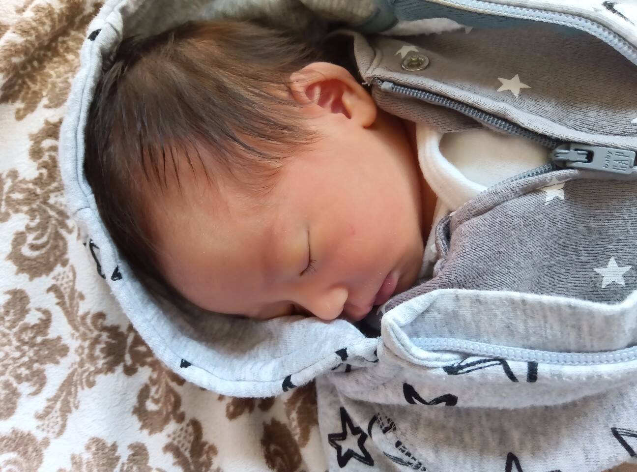 f:id:hoso-11-bishamonten:20251231214725j:image f:id:hoso-11-bishamonten:20251231214725j:image