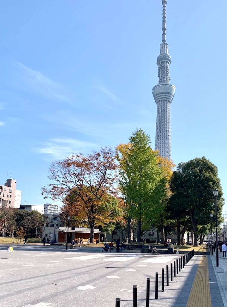 f:id:hukunekox:20211119233531j:image f:id:hukunekox:20211119233531j:image