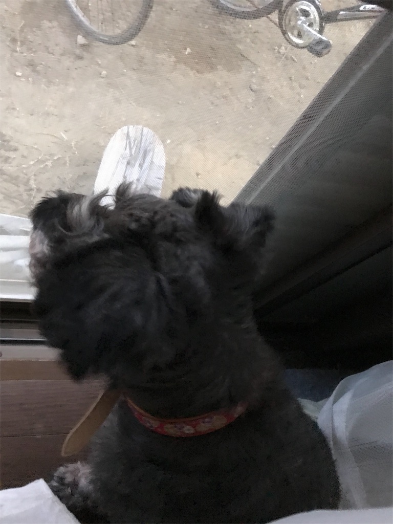 f:id:hukusuke39:20190814123530j:plain f:id:hukusuke39:20190814123530j:plain