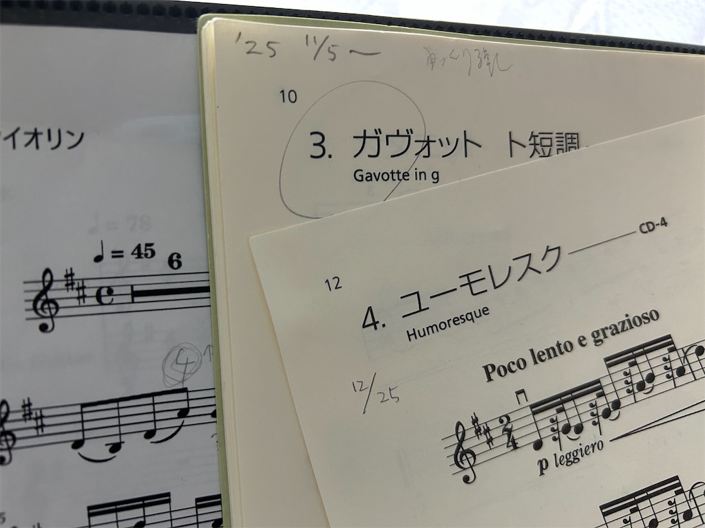 f:id:hummingbird_heartbeat:20251225141151j:image f:id:hummingbird_heartbeat:20251225141151j:image