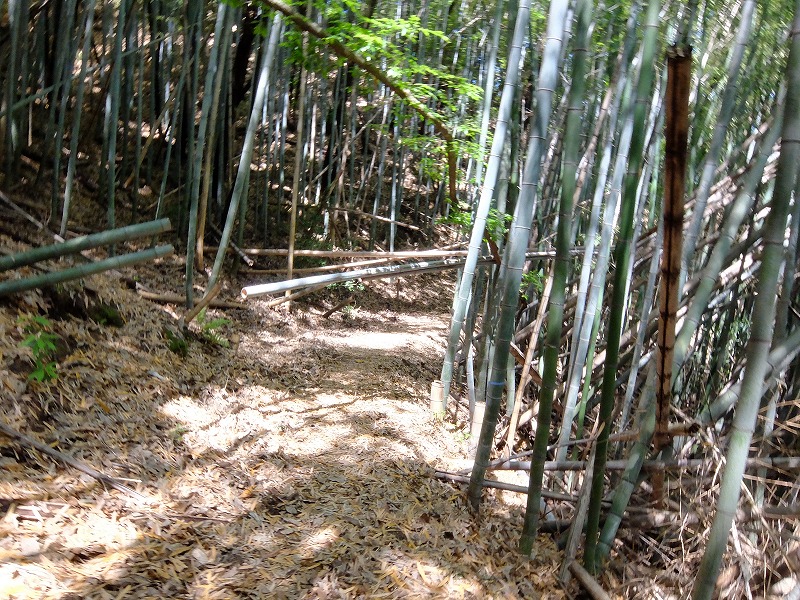 f:id:iechiko:20210902171922j:plain