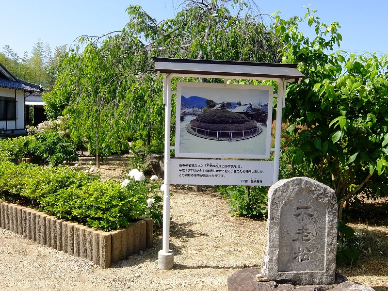 f:id:iechiko:20210902172040j:plain