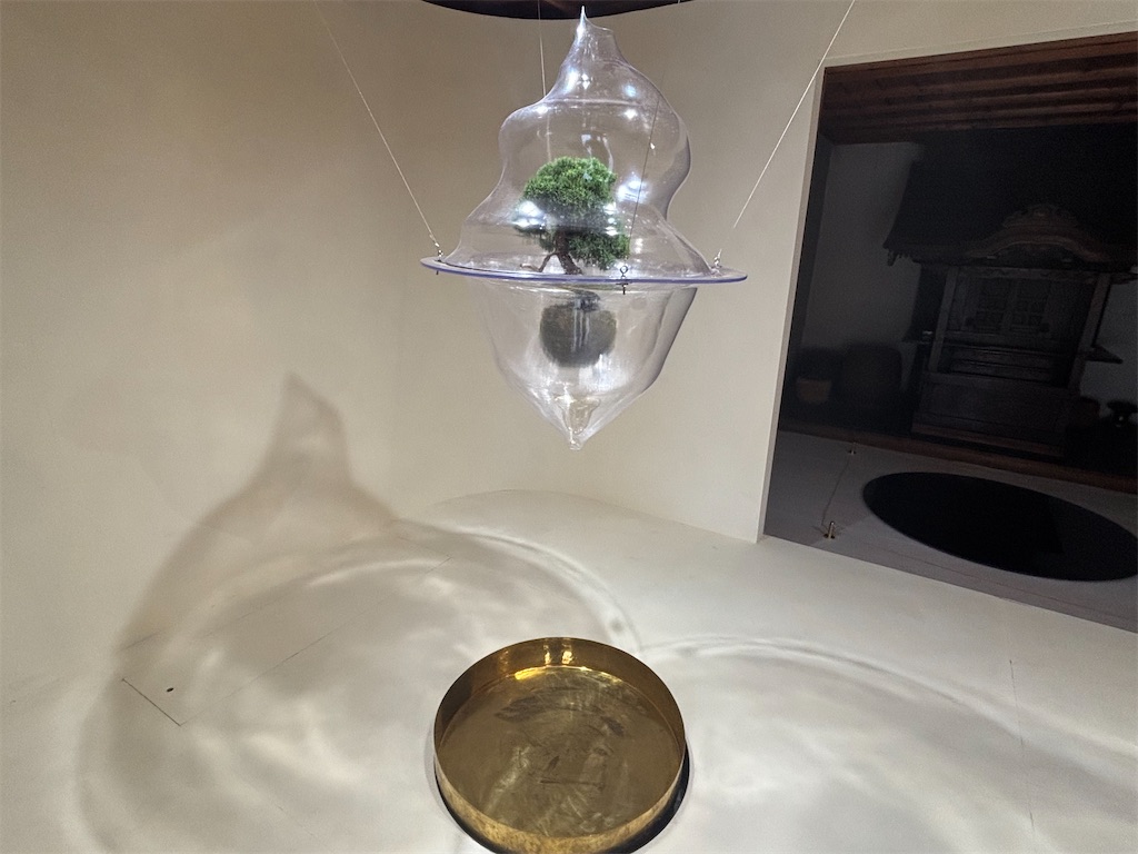 f:id:iechiko:20251028184216j:image f:id:iechiko:20251028184216j:image