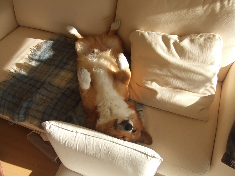 f:id:jkondo:20060315155850j:image f:id:jkondo:20060315155850j:image