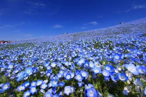 f:id:jranar:20130504213956j:image f:id:jranar:20130504213956j:image