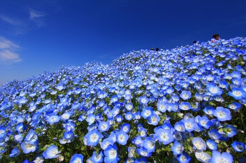 f:id:jranar:20130504213958j:image f:id:jranar:20130504213958j:image