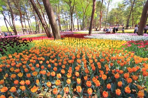 f:id:jranar:20130504215551j:image f:id:jranar:20130504215551j:image