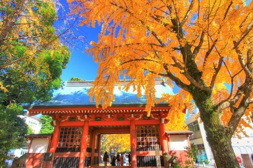 f:id:jranar:20131124140919j:image f:id:jranar:20131124140919j:image