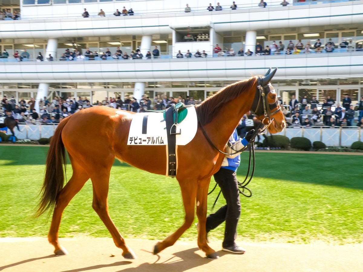 f:id:jranar:20191221082504j:plain f:id:jranar:20191221082504j:plain