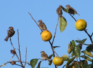 f:id:kanamankun:20200929143517j:plain f:id:kanamankun:20200929143517j:plain