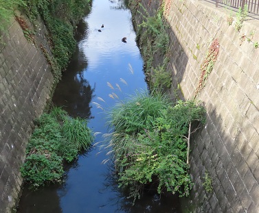 f:id:kanamankun:20200929173028j:plain f:id:kanamankun:20200929173028j:plain