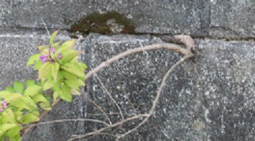 f:id:kanamankun:20200930161309j:plain f:id:kanamankun:20200930161309j:plain