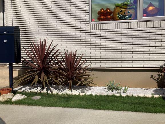 10月芝生ドライガーデン