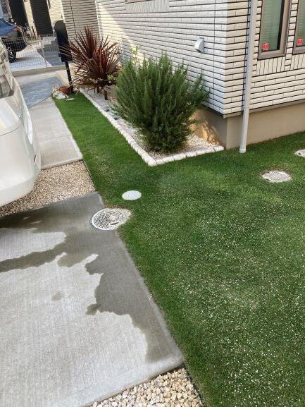 ドライガーデン施肥