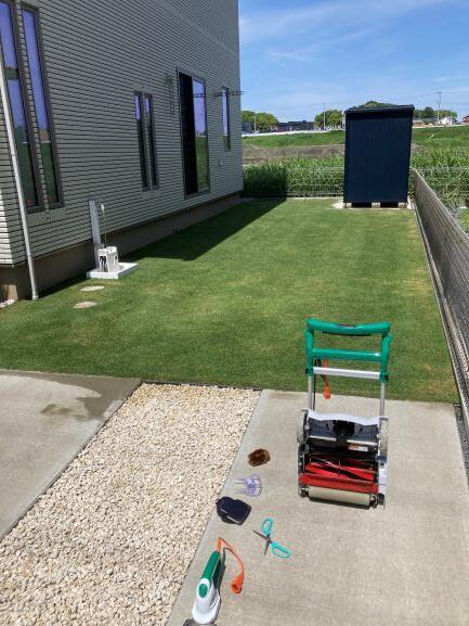 肥料焼け後芝刈り後