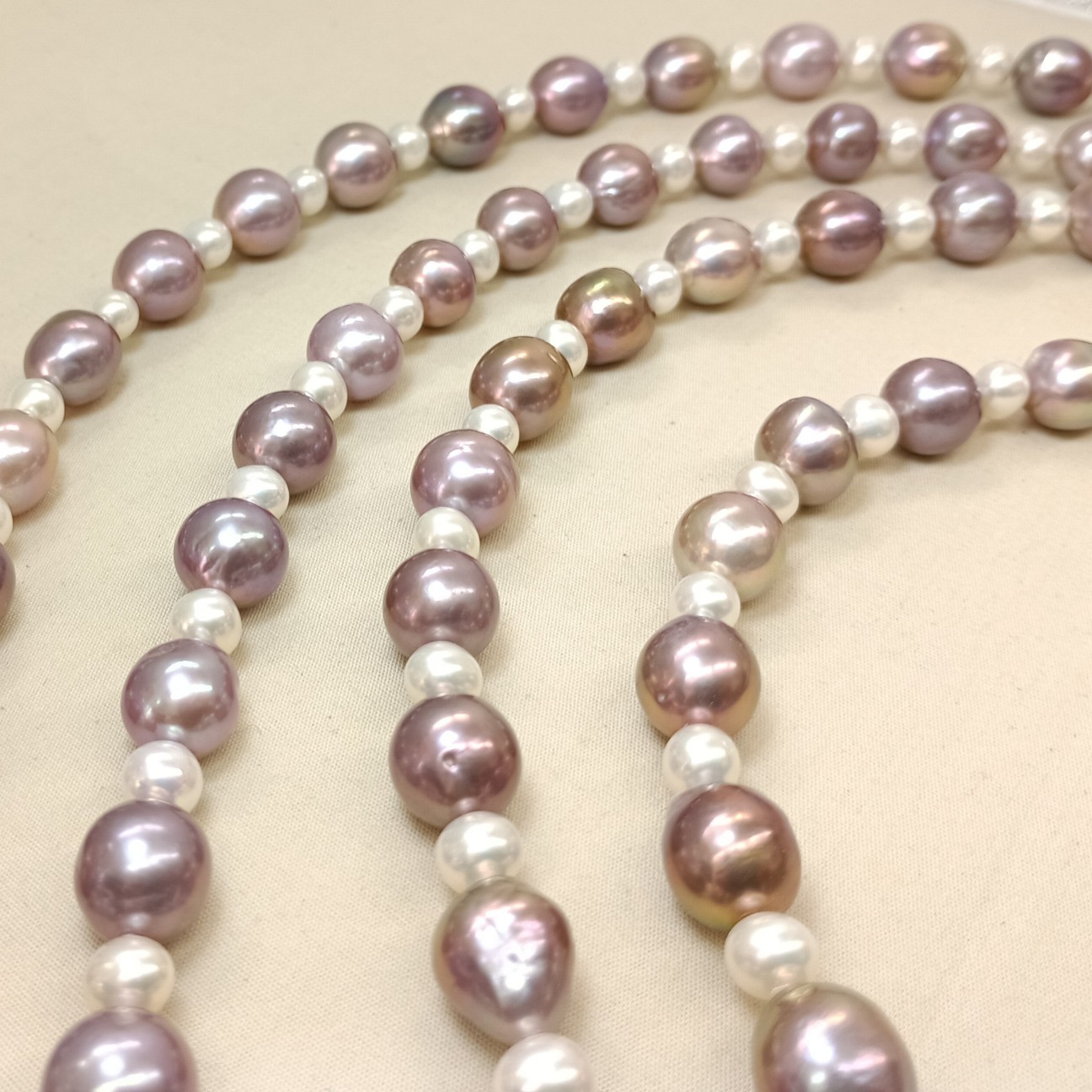 f:id:kjm_nishikawa:20251208170632j:image f:id:kjm_nishikawa:20251208170632j:image