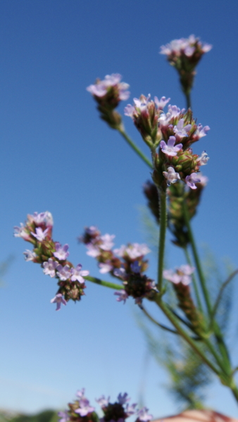 f:id:knockeye:20100925135304j:image f:id:knockeye:20100925135304j:image