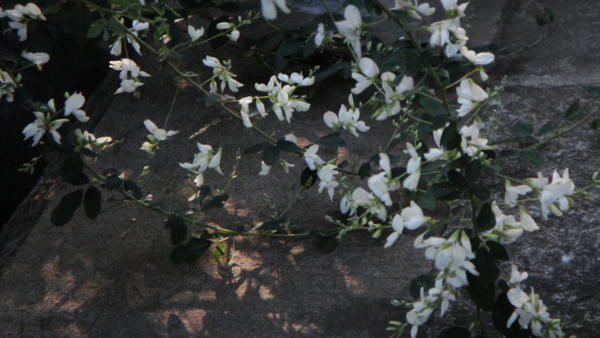 f:id:knockeye:20100925160500j:image f:id:knockeye:20100925160500j:image