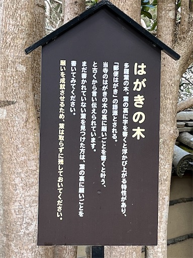 f:id:kozue-kasakawa:20230303142619j:image f:id:kozue-kasakawa:20230303142619j:image