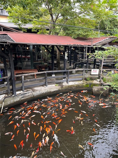 f:id:ksakmh:20250831094235j:image f:id:ksakmh:20250831094235j:image