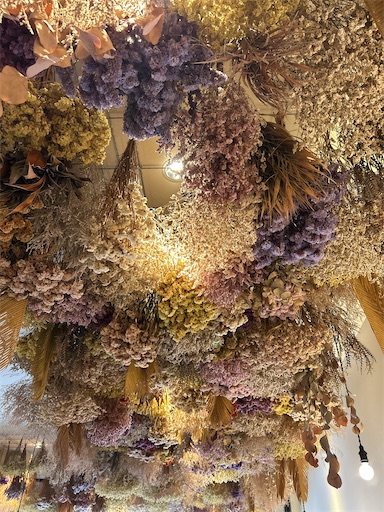 f:id:ksakmh:20250831094244j:image f:id:ksakmh:20250831094244j:image