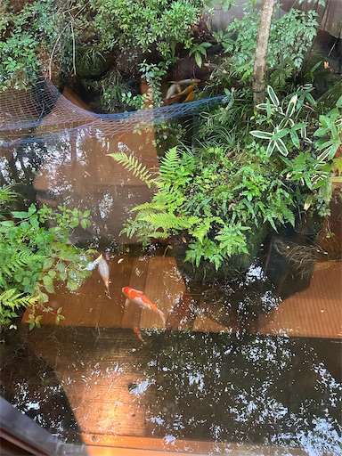 f:id:ksakmh:20250831094716j:image f:id:ksakmh:20250831094716j:image