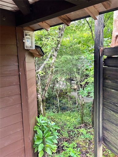 f:id:ksakmh:20250831094740j:image f:id:ksakmh:20250831094740j:image