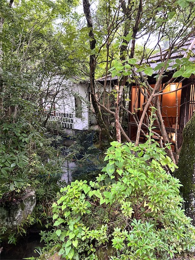 f:id:ksakmh:20250831094811j:image f:id:ksakmh:20250831094811j:image